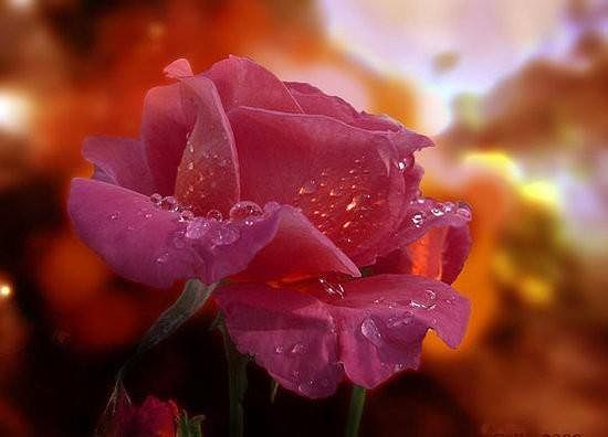 с улицы водица с меня лиховица. Смотреть фото с улицы водица с меня лиховица. Смотреть картинку с улицы водица с меня лиховица. Картинка про с улицы водица с меня лиховица. Фото с улицы водица с меня лиховица с улицы водица с меня лиховица. Смотреть фото с улицы водица с меня лиховица. Смотреть картинку с улицы водица с меня лиховица. Картинка про с улицы водица с меня лиховица. Фото с улицы водица с меня лиховица