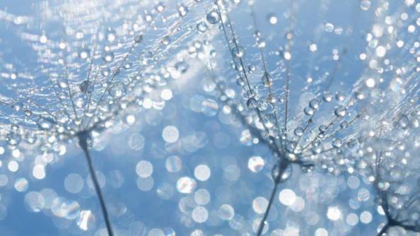 отношения начатые в коридоре затмений. Смотреть фото отношения начатые в коридоре затмений. Смотреть картинку отношения начатые в коридоре затмений. Картинка про отношения начатые в коридоре затмений. Фото отношения начатые в коридоре затмений отношения начатые в коридоре затмений. Смотреть фото отношения начатые в коридоре затмений. Смотреть картинку отношения начатые в коридоре затмений. Картинка про отношения начатые в коридоре затмений. Фото отношения начатые в коридоре затмений