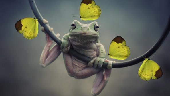 отношения начатые в коридоре затмений. Смотреть фото отношения начатые в коридоре затмений. Смотреть картинку отношения начатые в коридоре затмений. Картинка про отношения начатые в коридоре затмений. Фото отношения начатые в коридоре затмений отношения начатые в коридоре затмений. Смотреть фото отношения начатые в коридоре затмений. Смотреть картинку отношения начатые в коридоре затмений. Картинка про отношения начатые в коридоре затмений. Фото отношения начатые в коридоре затмений