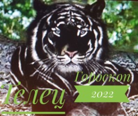 Смотреть Самый Новый 2022 Года Бесплатно Смотреть Самый Новый 2022 Года Бесплатно