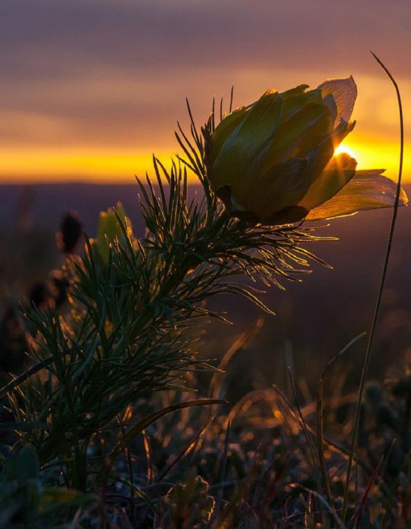раскрашивай свою жизнь только самыми яркими красками. Смотреть фото раскрашивай свою жизнь только самыми яркими красками. Смотреть картинку раскрашивай свою жизнь только самыми яркими красками. Картинка про раскрашивай свою жизнь только самыми яркими красками. Фото раскрашивай свою жизнь только самыми яркими красками