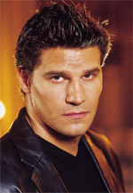 ����� �������� (David Boreanaz)