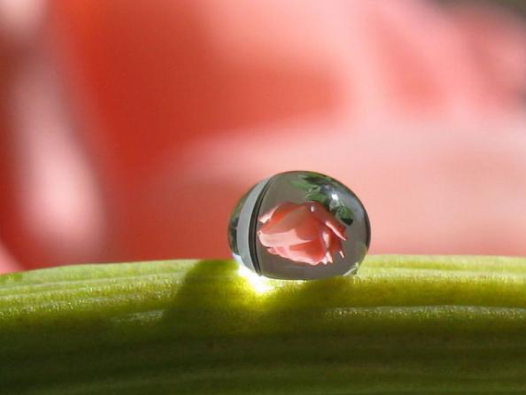 Просмотреть исходную картинку