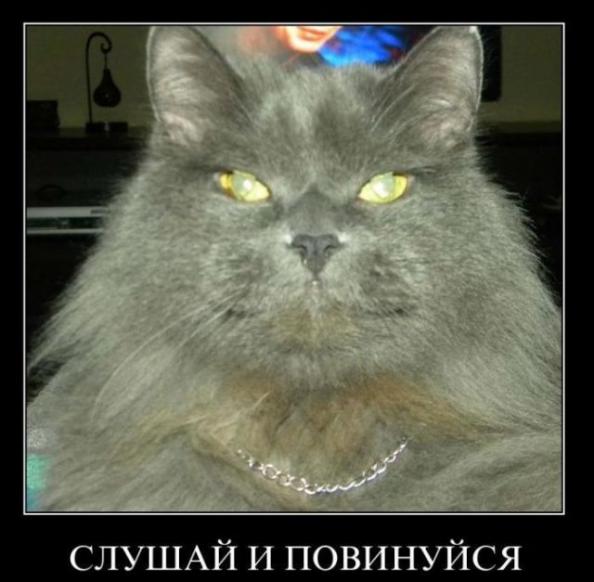 3827_2.jpg